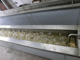 雷士超声波清洗辅助毛刷清洗机