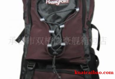 登山包旅行包双肩包户外运动包40L  登山包