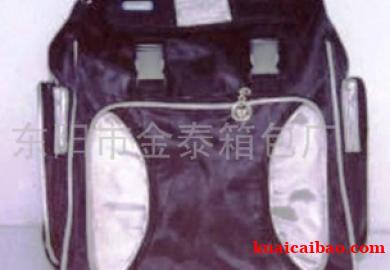 背包420D金泰双肩包背包