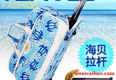 20寸出行必备旅行袋包拉杆