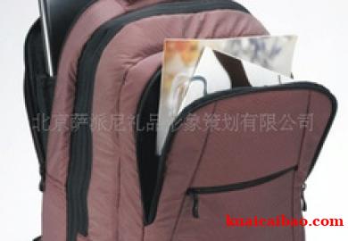 多功能新款柏瑞斯15寸经典白领休闲时尚双肩笔记本<span>