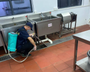 北京消杀除虫灭鼠 虫害消杀 除虫除蚁 源头治理 整窝端除